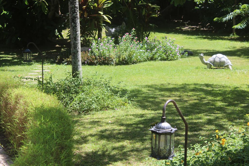 Villa Kordia Pointe Au Sel Εξωτερικό φωτογραφία